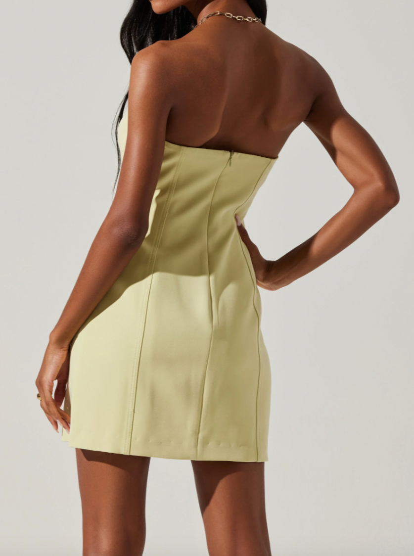 Mekhi Strapless Mini Dress