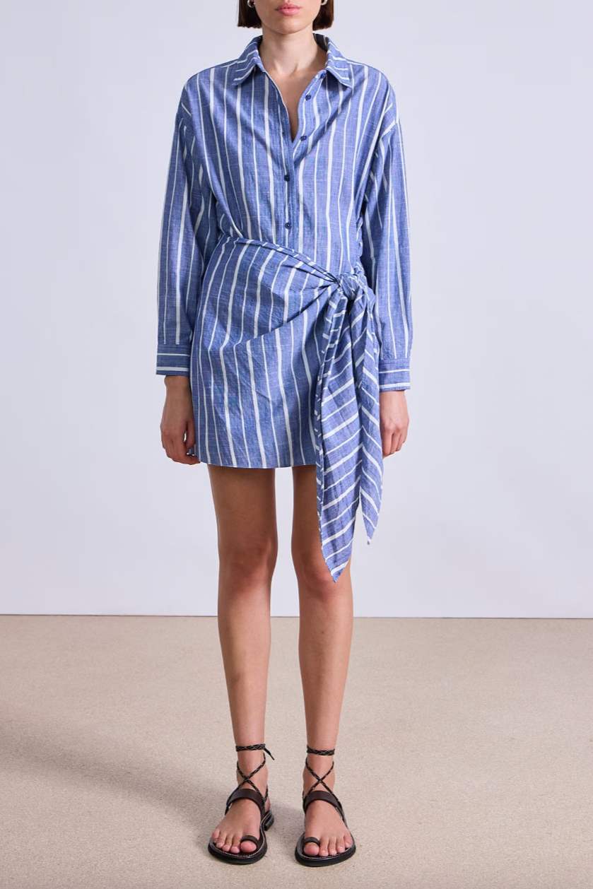 Alessandra Mini Dress