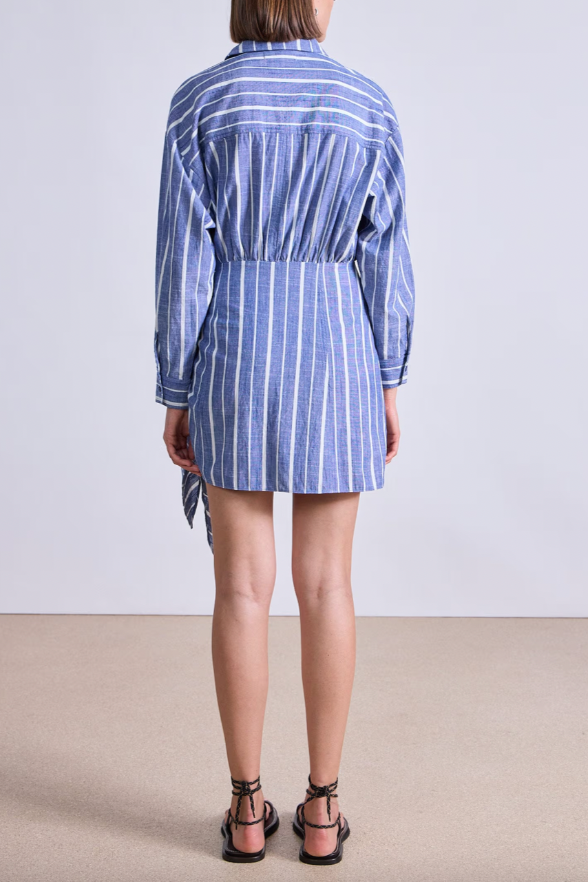 Alessandra Mini Dress