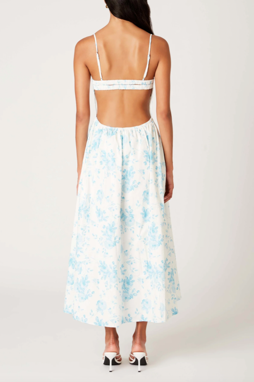 Destene Dress