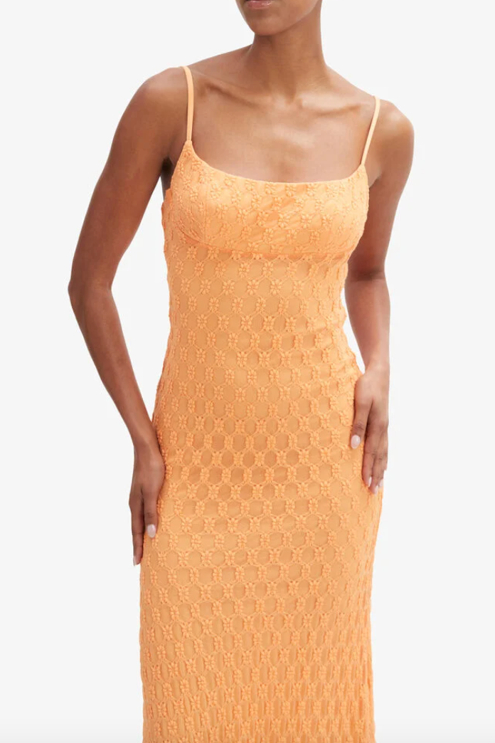 Adoni Mesh Midi Dress