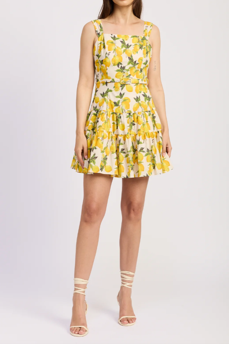 blanca mini dress Bianca Mini Dress Medium