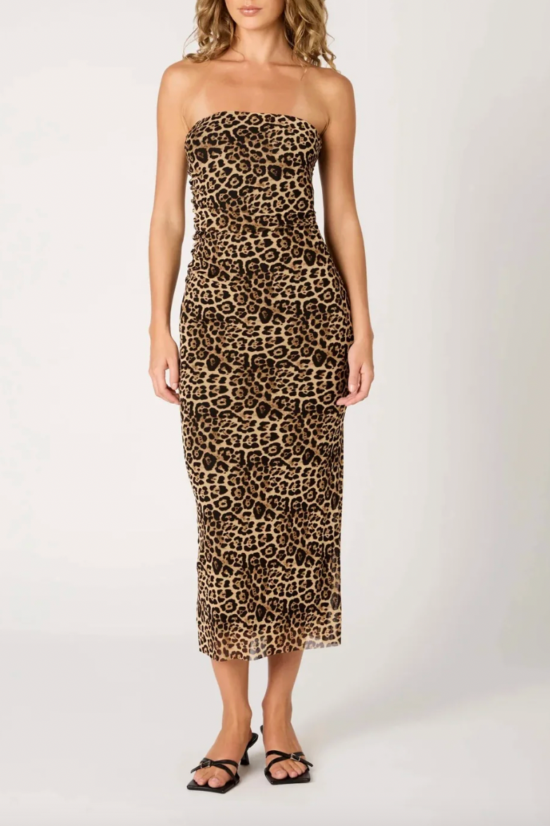 tan mesh dress Nia Rowa Strapless Midi Dress in Tan at Nordstrom, Size Small