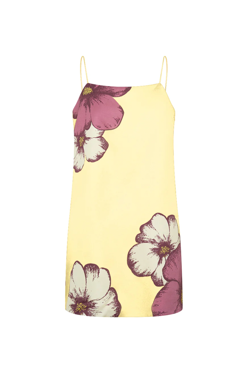 Paros Mini Dress