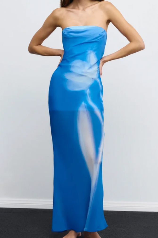 Zhavia Strapless Maxi Dress