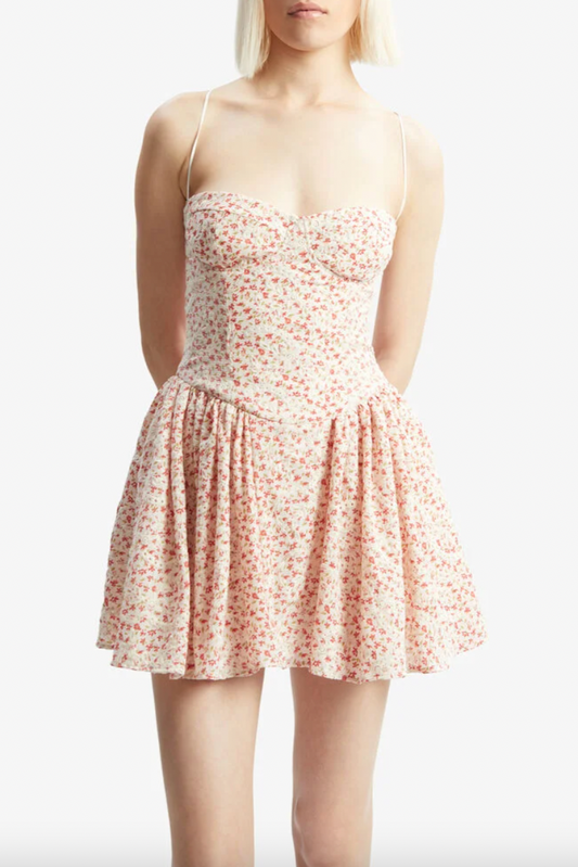 Estie Embroidered Mini Dress