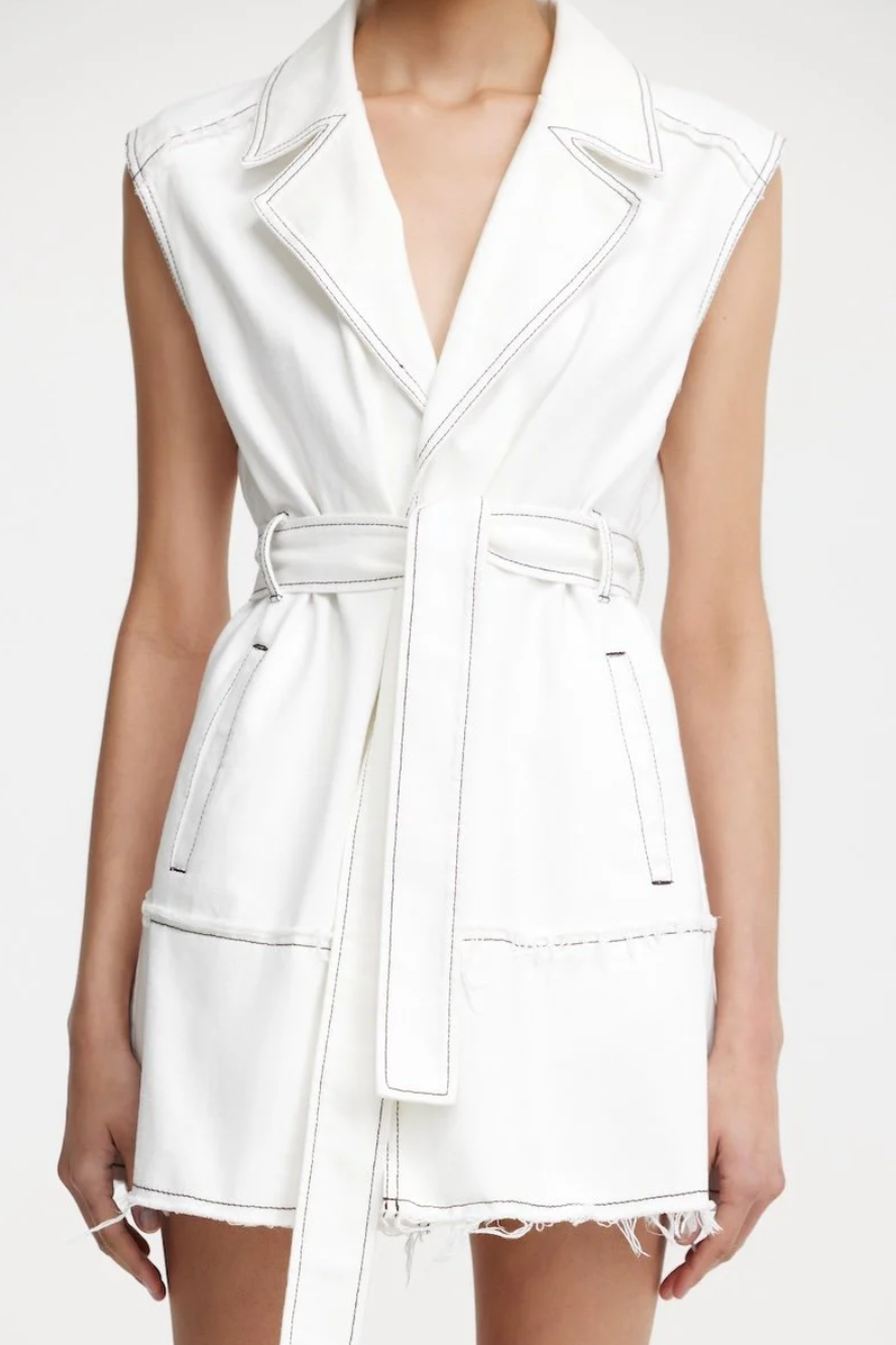 Stevi Mini Dress