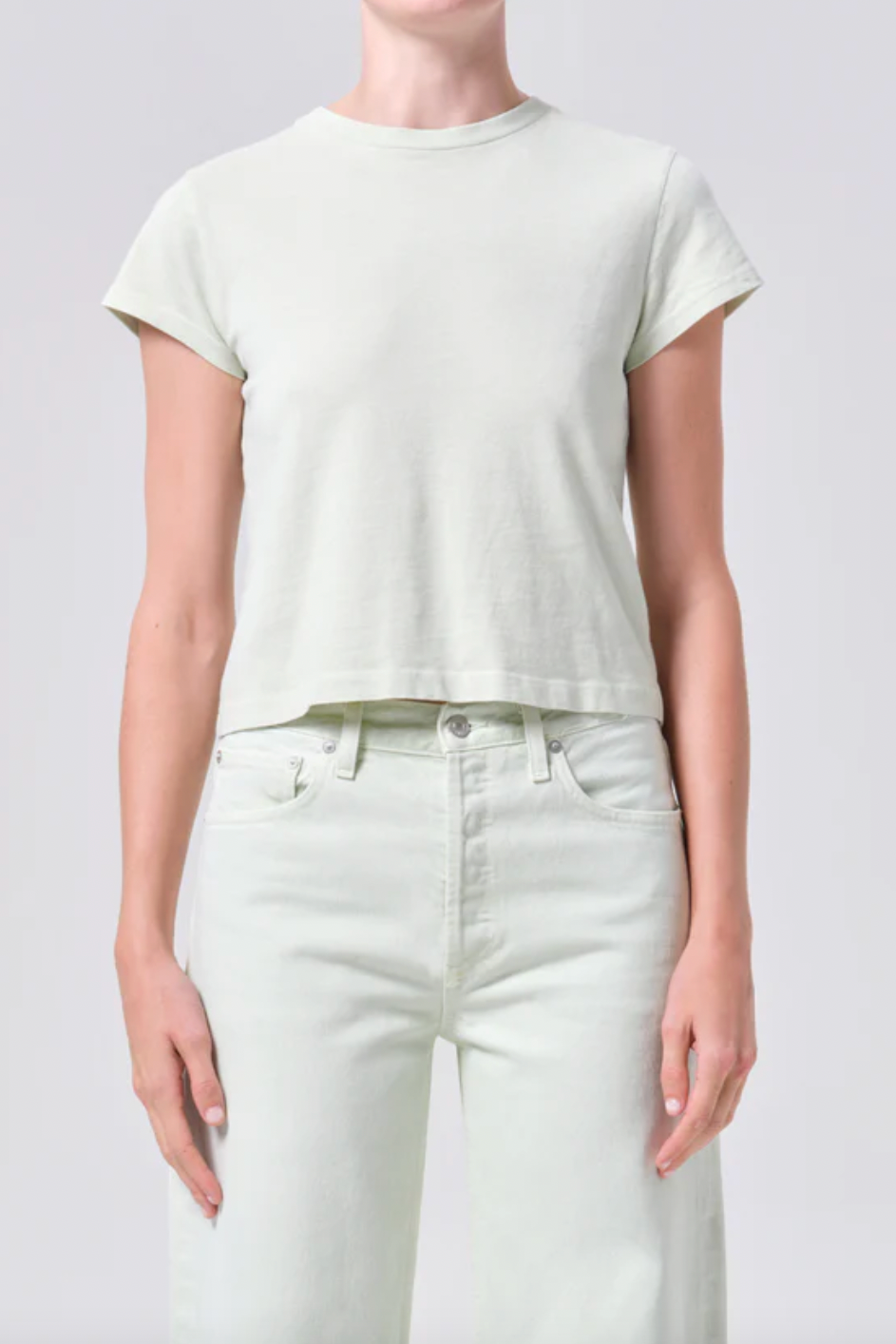 Adine Shrunken Tee