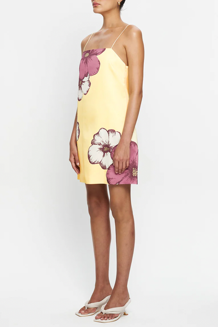 Paros Mini Dress