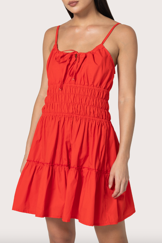 Rosa Mini Dress