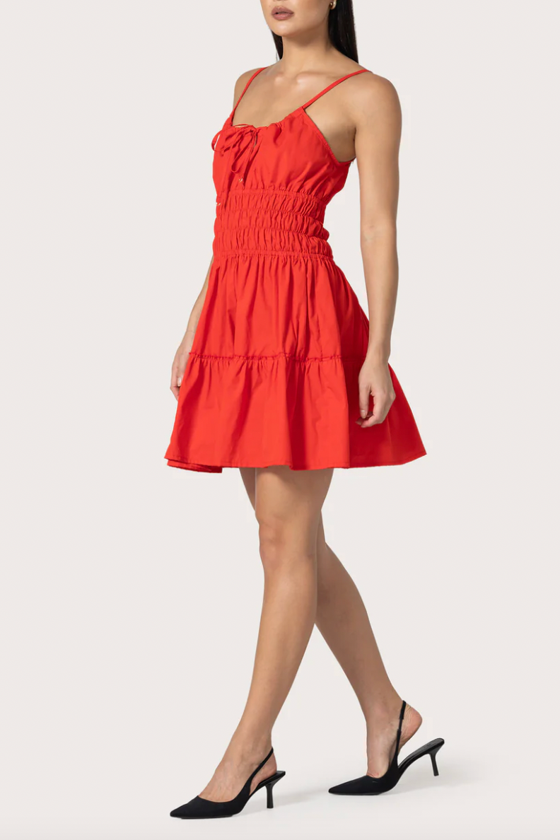 Rosa Mini Dress