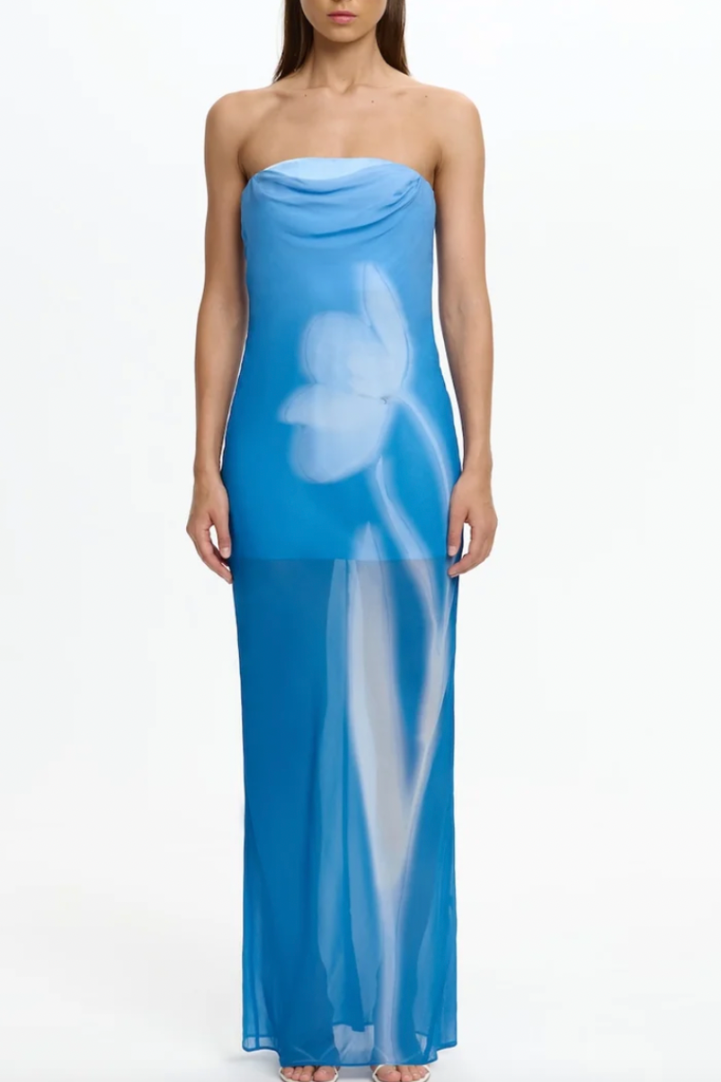 Zhavia Strapless Maxi Dress