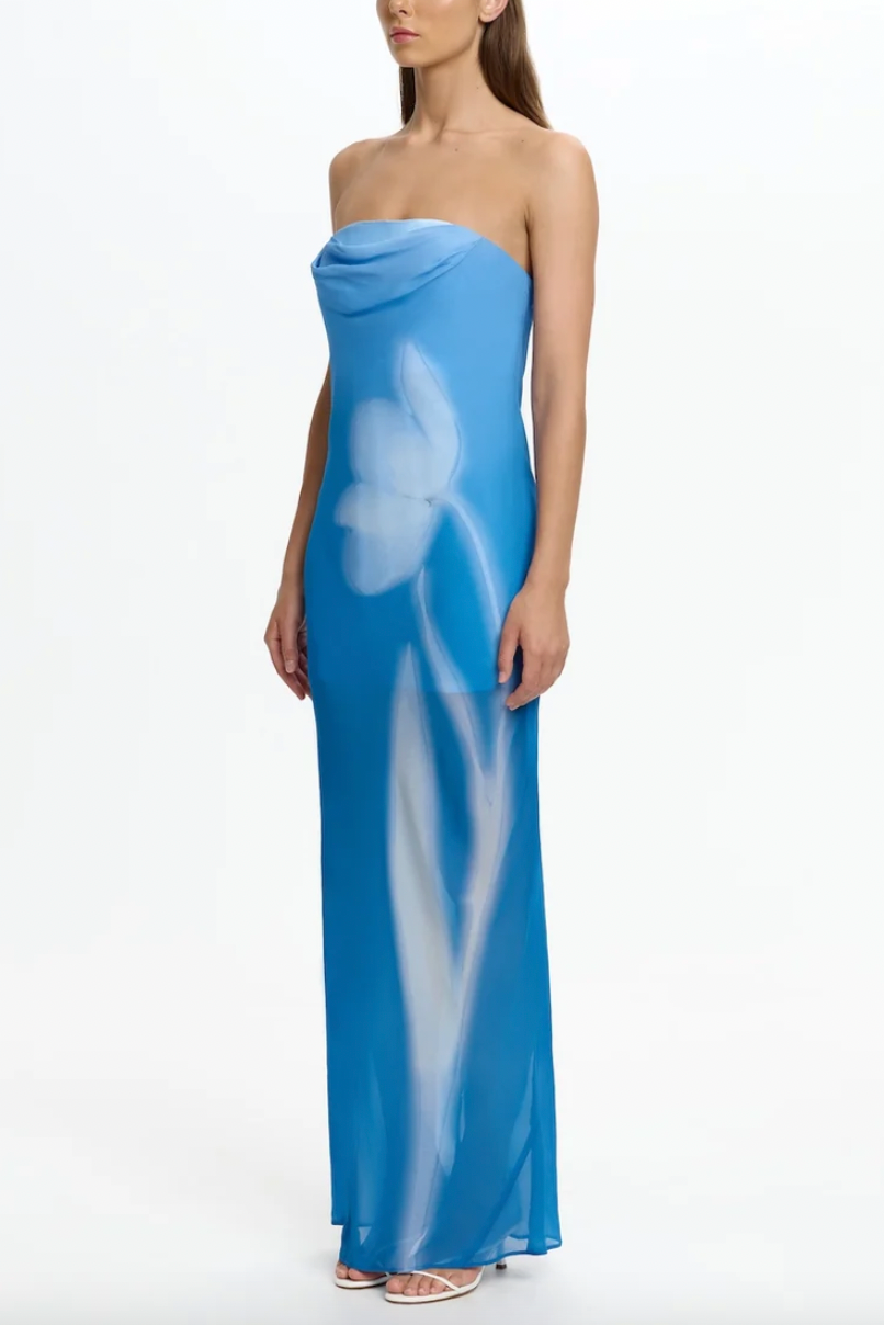 Zhavia Strapless Maxi Dress