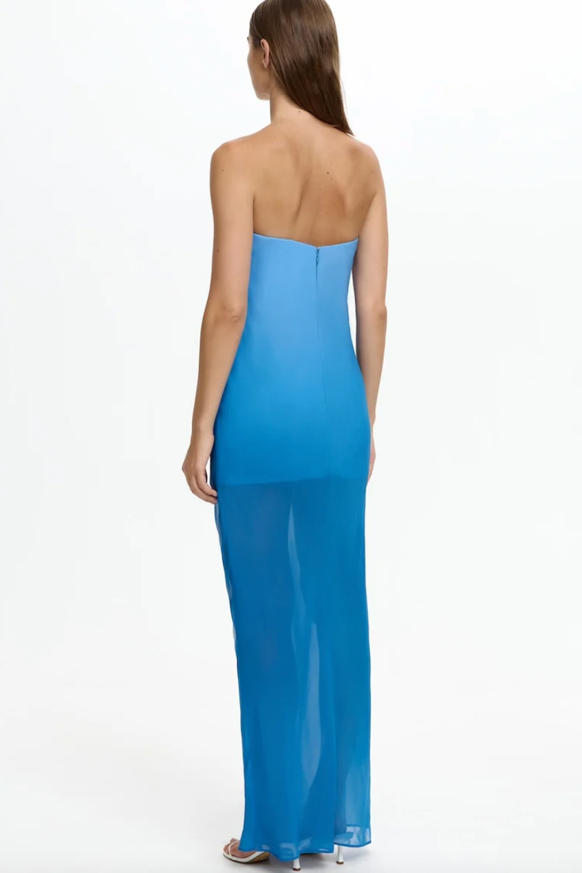 Zhavia Strapless Maxi Dress