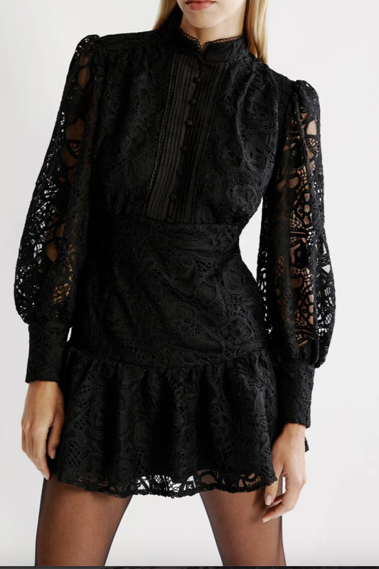 Remy Embroidered Mini Dress - Black