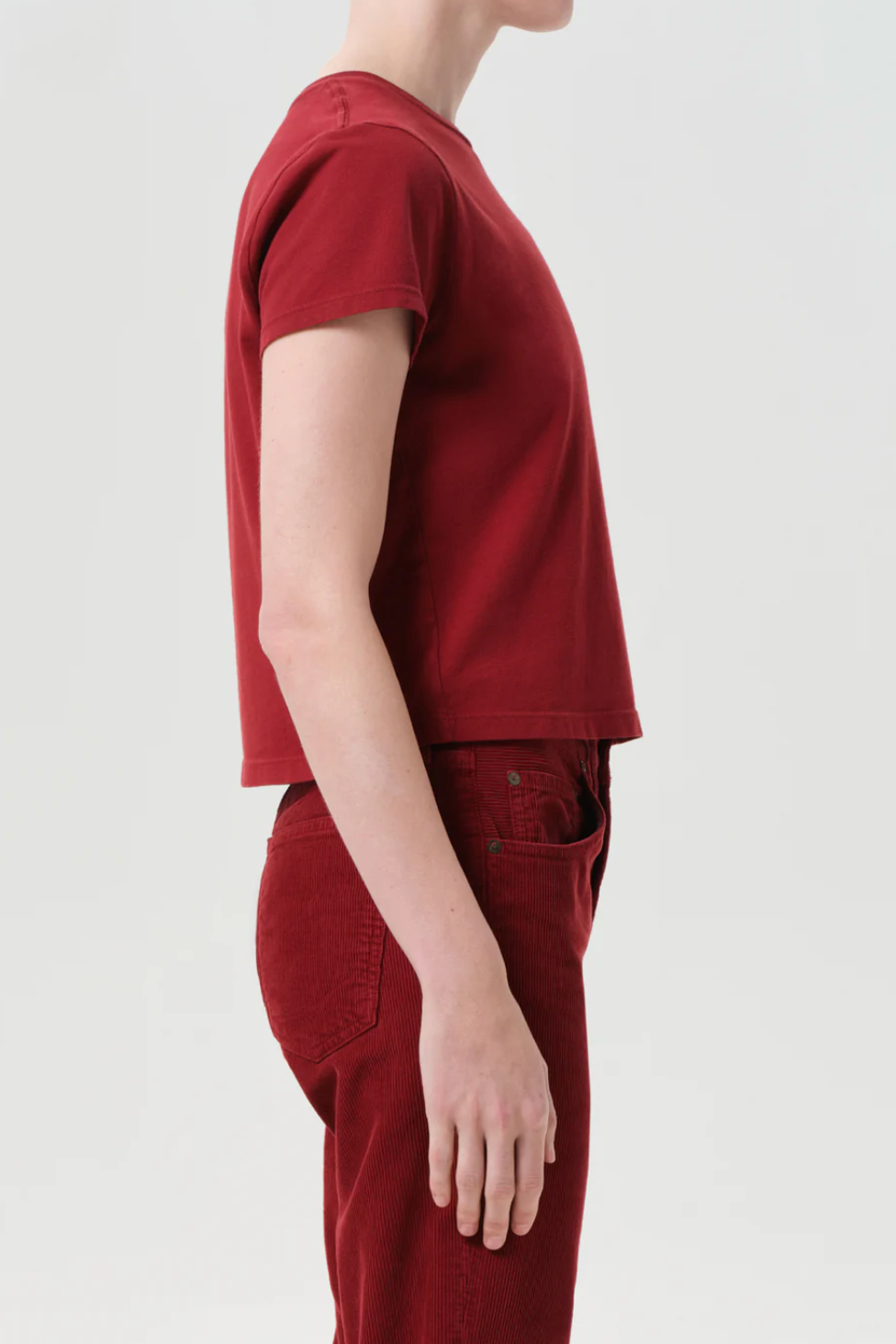 Adine Shrunken Tee - Brick